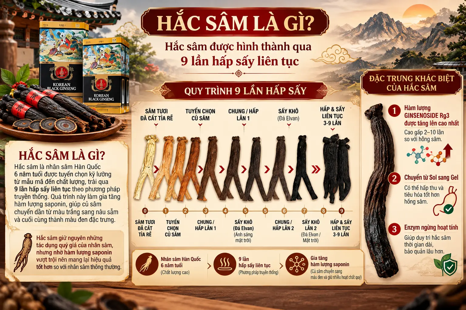 Giới thiệu hắc sâm củ khô Hàn Quốc