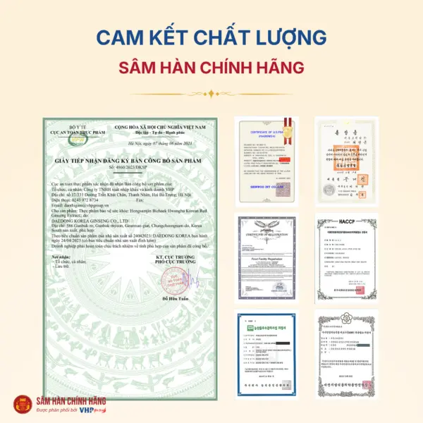 Thông tin lưu ý về sản phẩm hồng sâm Hoàng Hậu