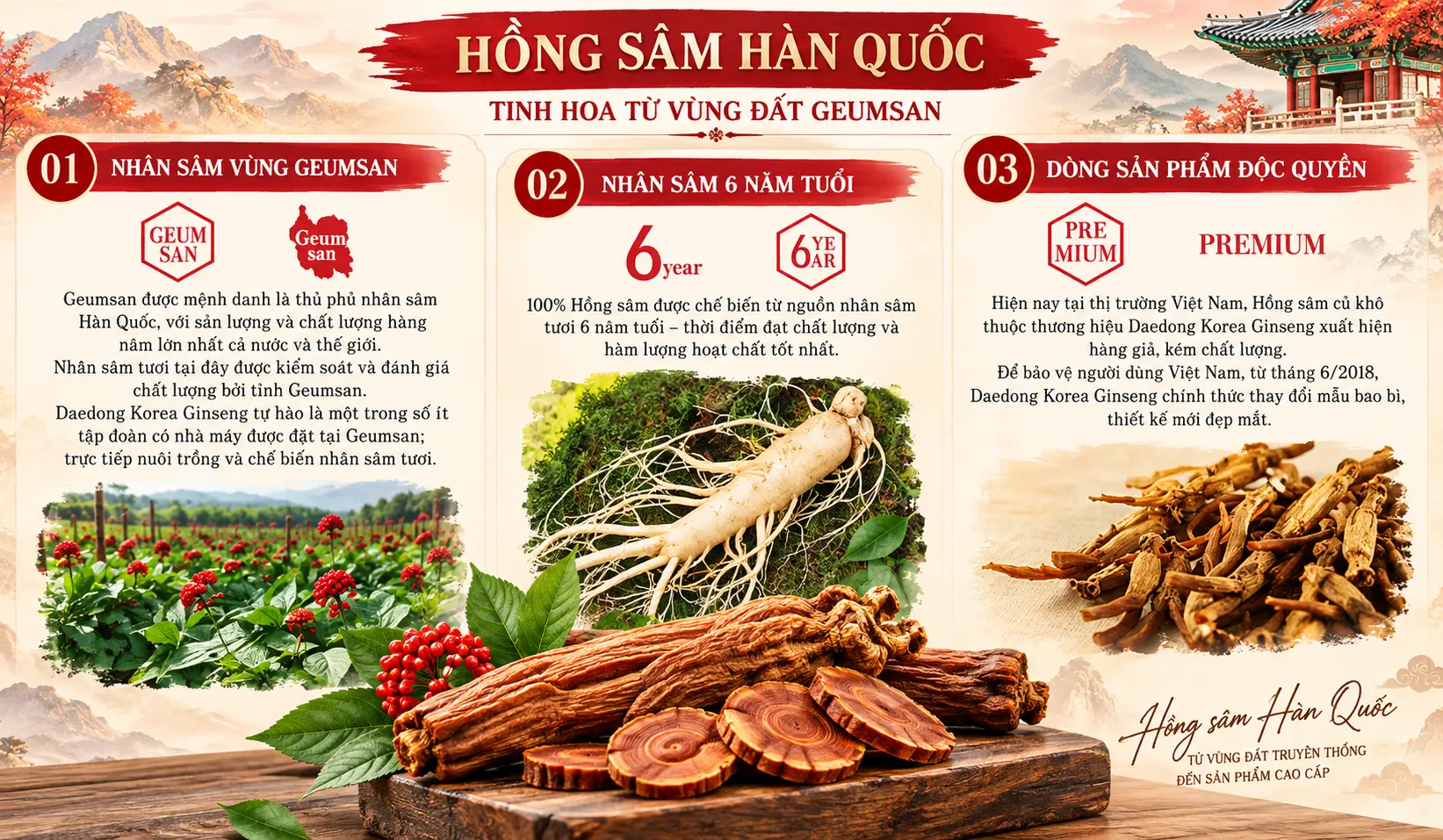 Thông tin vùng đất và thương hiệu hồng sâm Hàn Quốc