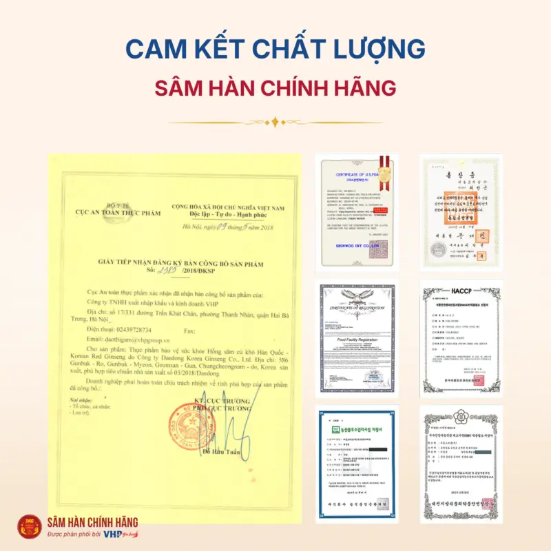 Hình ảnh cam kết chất lượng hồng sâm Hàn Quốc